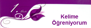 kelimeogreniyorum