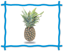 ananas